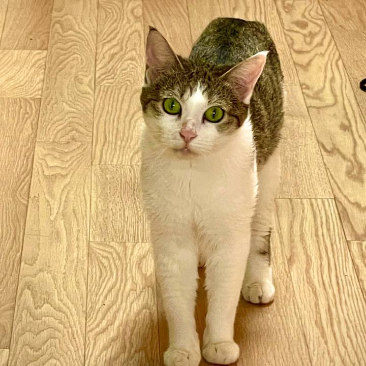 362d5a49 33f0 41ab a106 2071faab59ed 1626495970033