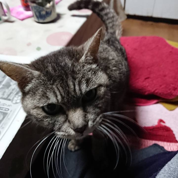 362da12b 20b9 419b a316 eef70530ffb4 1554496900779