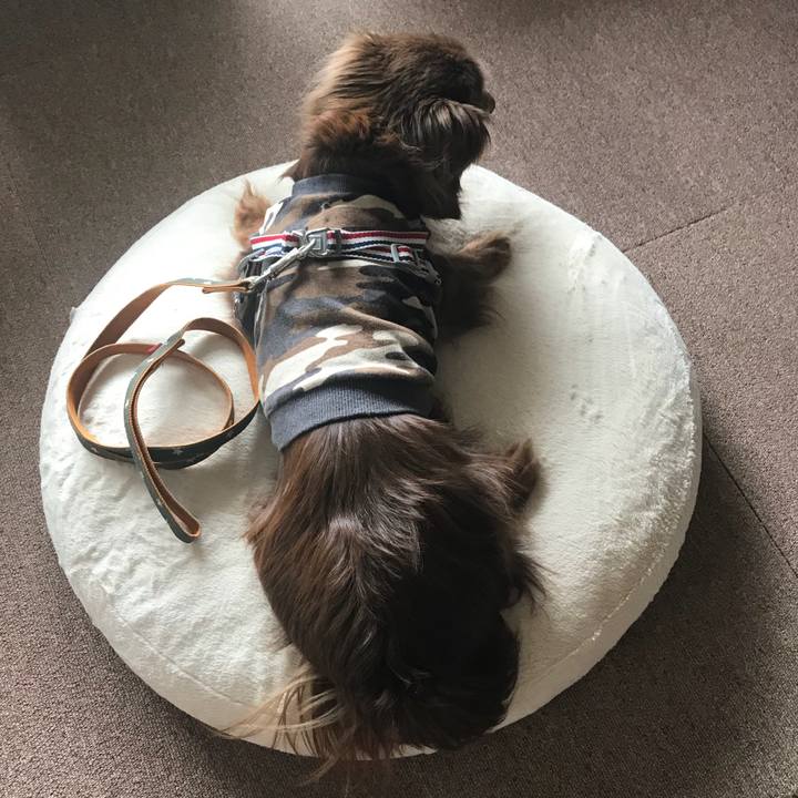 362ddc6c 7dc5 49e7 9ff4 54750fcd8bdb 1524798372561