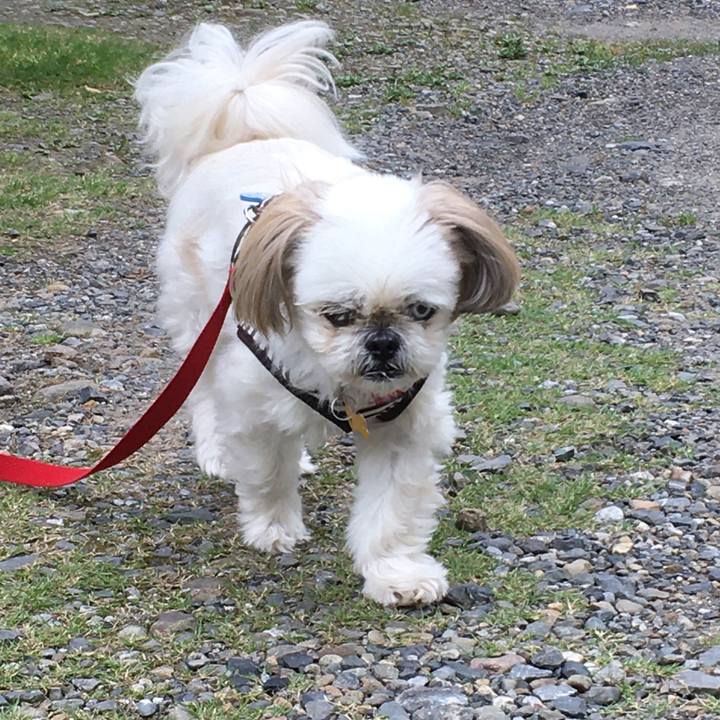 362dde1d fb89 47db 8be5 e62b46e46190 1589348515574