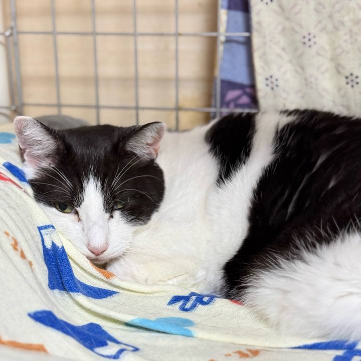 362df6aa 7a61 4e64 b51a cf2fdaced21c 1735086309359