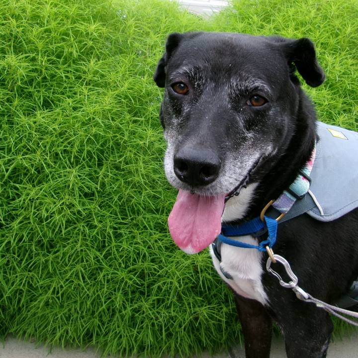 362e213c 106e 4ef2 9a9f d44f3a3ad4da 1754007706840