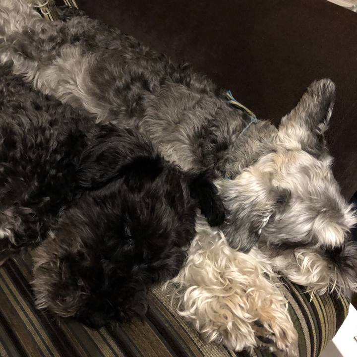 362e41b4 e243 4dfc a110 074088757755 1589811071874