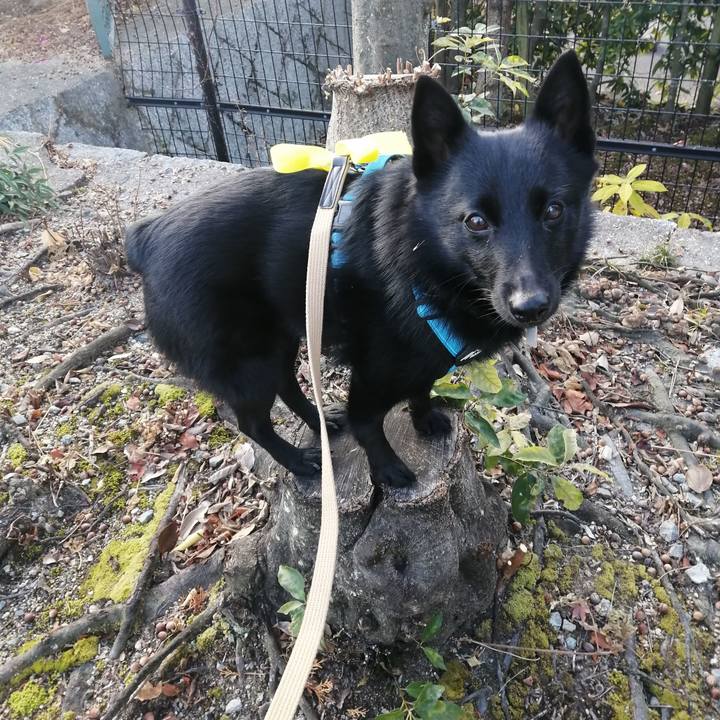 362e4683 d3ca 46c5 aa22 0fbb0f720856 1639522114366