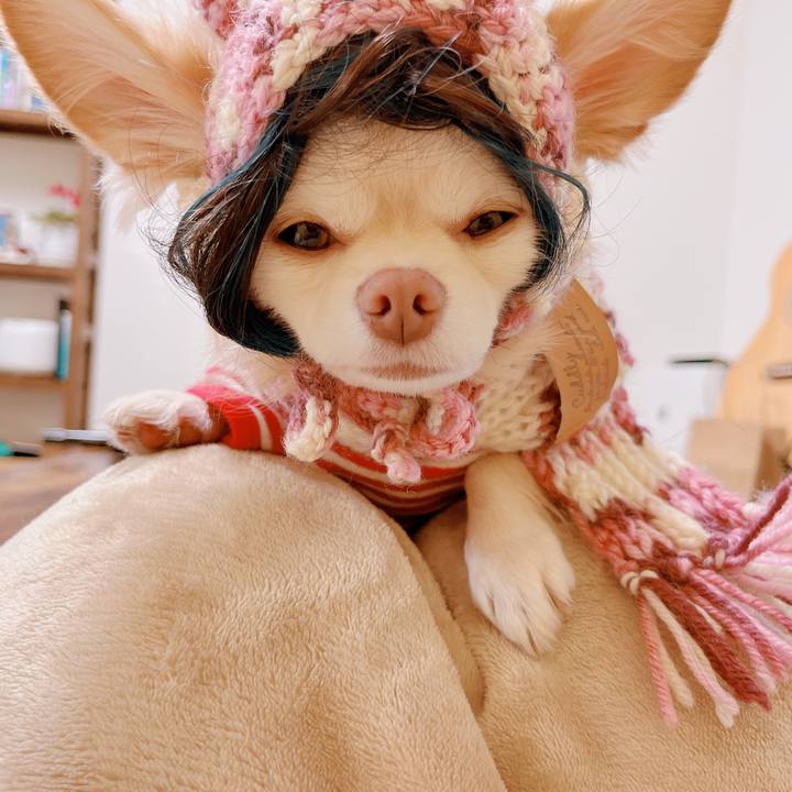 362e733a 257b 4921 a07c ec0d01b0fa15 1670822726693