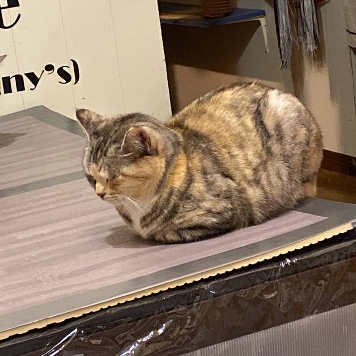 362e849e c83f 429e b2fb fca8253802e3 1647396646946