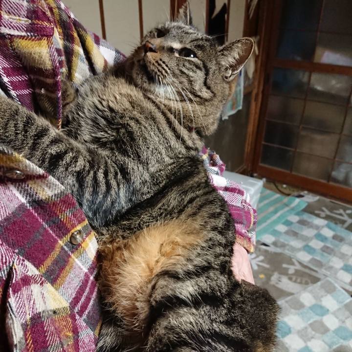 362eab8e 2177 40f9 b4b6 8676b72db2ff 1641818726372