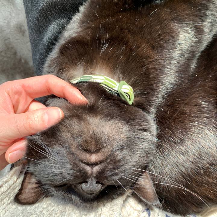 362eb618 66f3 4b28 ad2d 858573d635d3 1548461384910