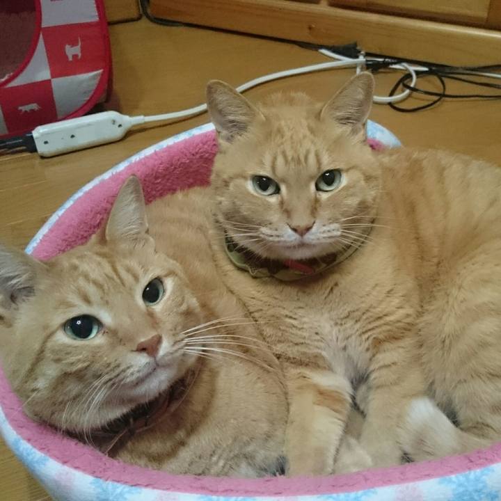 362ed114 9e54 48ee 8427 4afb3fbc5505 1507950892917