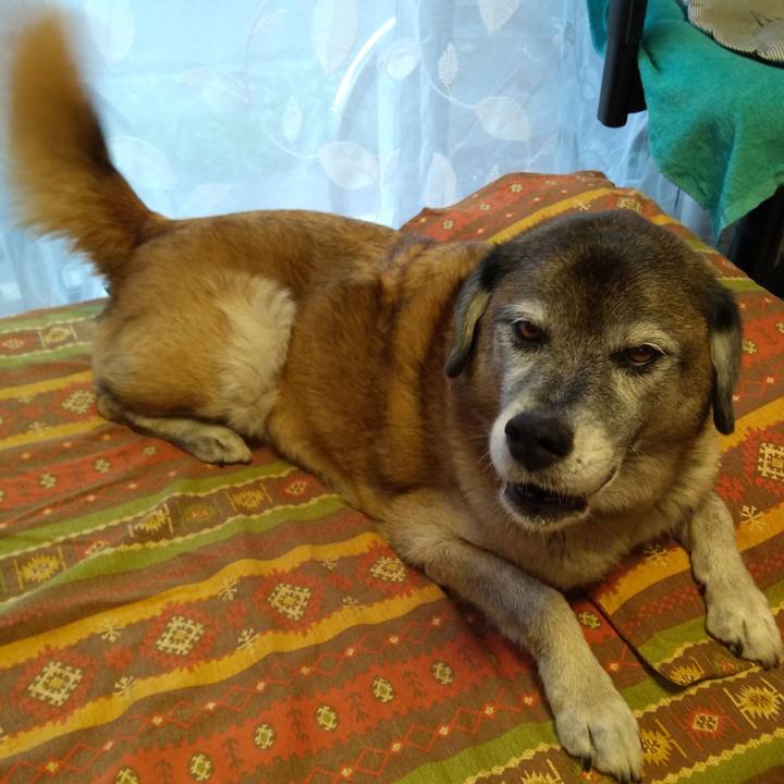 362ee4e3 f037 4964 a705 7867b04e172a 1566901163979