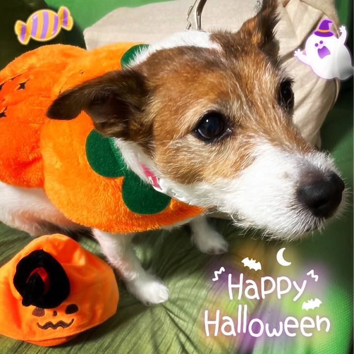 362ef887 5276 4ba4 9f32 1db9c91e426e 1602897975893