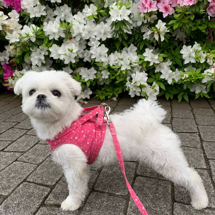 362f0740 e1cb 4f33 8839 58676811a9d7 1651546035388