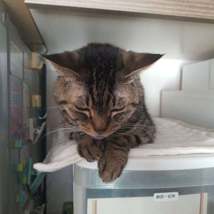 362f1733 b3d3 4660 8ffe 07c7593db2f2 1579408989667