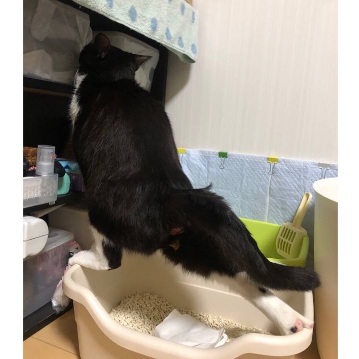 362f2662 2c73 4357 8eb0 f81f5d614855 1626639574368