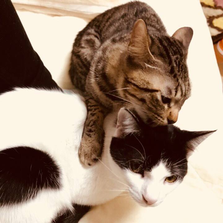 362f647e 5ae1 408c b398 54f1e5490afb 1510140105415