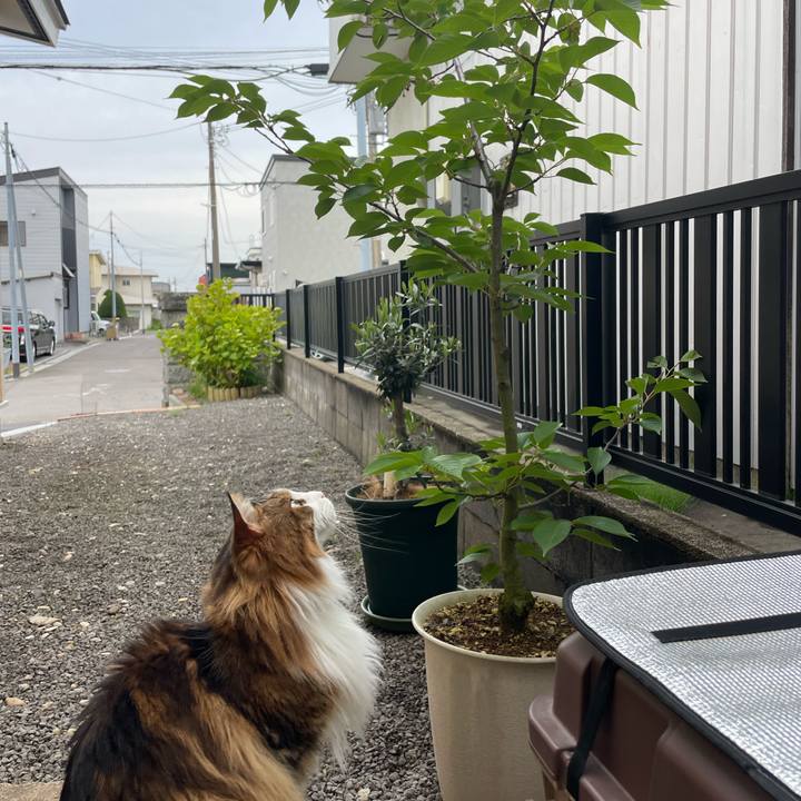 362f9798 50ca 4936 a76e 1950a0bb70fd 1750628269000