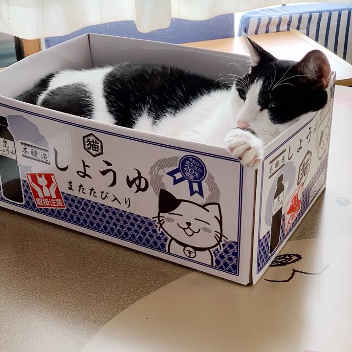 362fe220 c38e 4ca6 add9 039e4de59958 1541381708633