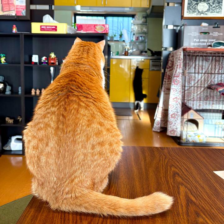 362fe54f 3bc1 4830 a681 676a7d6d0105 1740181718096