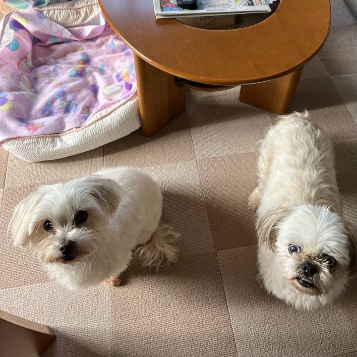 362fe6a4 039f 4ad8 8b26 aed5221ccb57 1675481460334