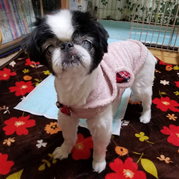 362fea62 8a63 4325 a68a fcfacb934631 1614767969312