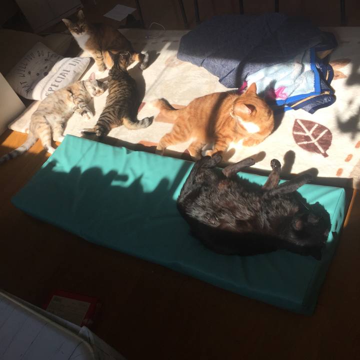 36304e35 bfe9 43ae 8326 4e7be2e240ec 1573957394942