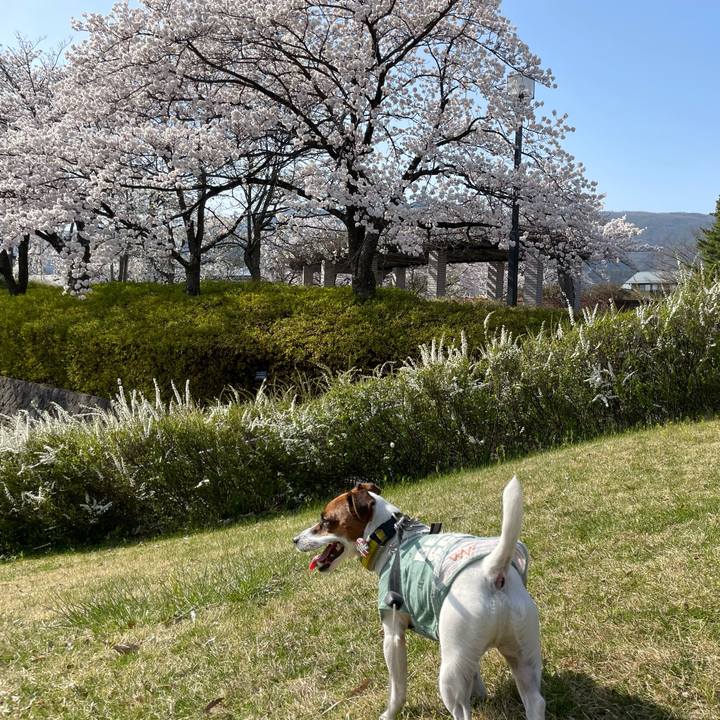 363050dd 3a64 42a2 b28d 267c9a883991 1649760280958