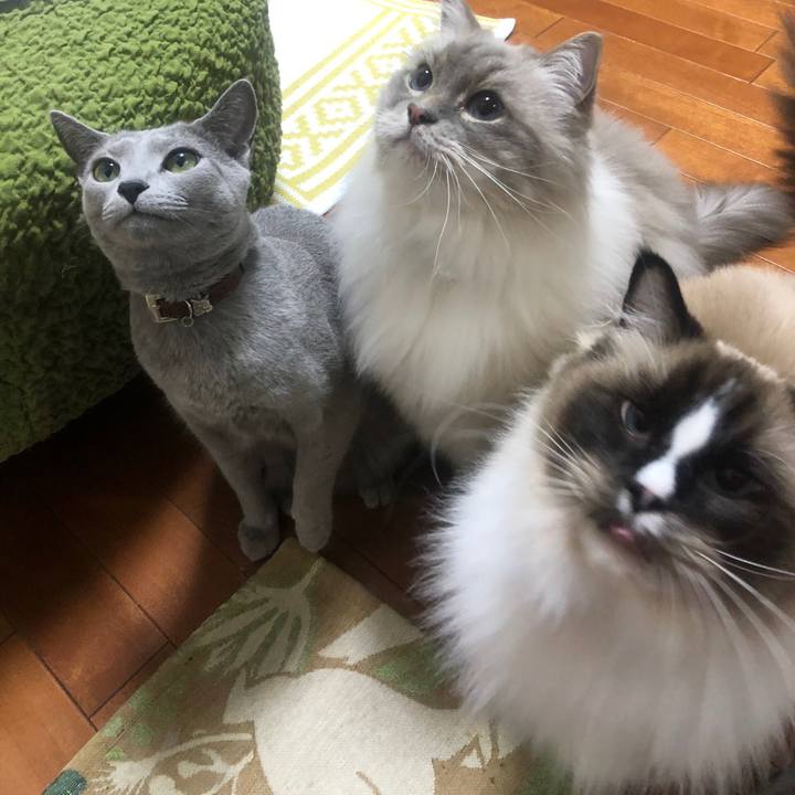 36305952 da2d 4ee5 9e89 8a6b13355e93 1546417747806