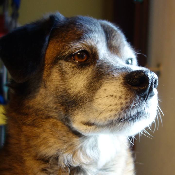 36306b67 4315 4edb b2b2 e02a86f6329e 1656547030415