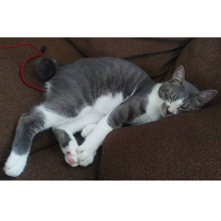 363078ea e3c4 41c5 9ffb d9e3782cee7b 1594792223744