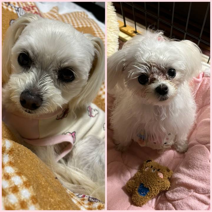 3630fd73 ba2d 46af b92d 74de01e0a8d7 1713099170021