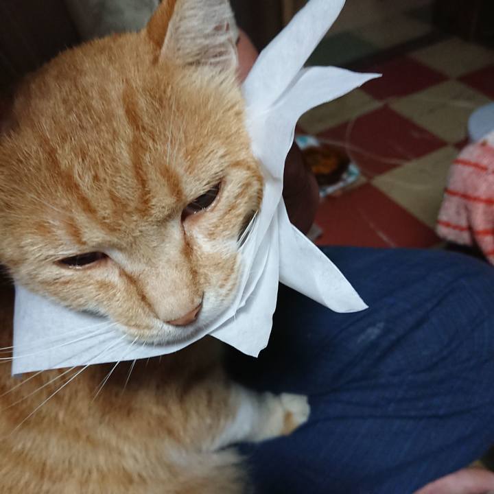 3630ff33 d217 4b6c a073 eda2844c3c4c 1593808606161