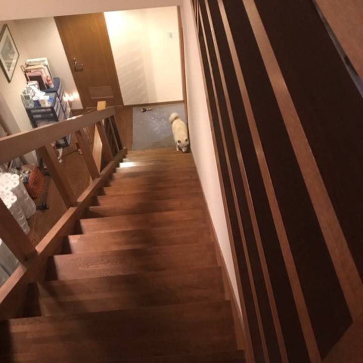 36312bf7 fd39 4c6d 8c78 2e2b5d7cdf56 1647272705027