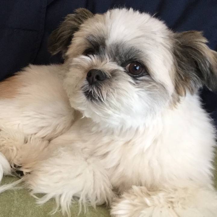 3631405f 40ef 4ade b7f8 a6e57b81e4a9 1525653677024