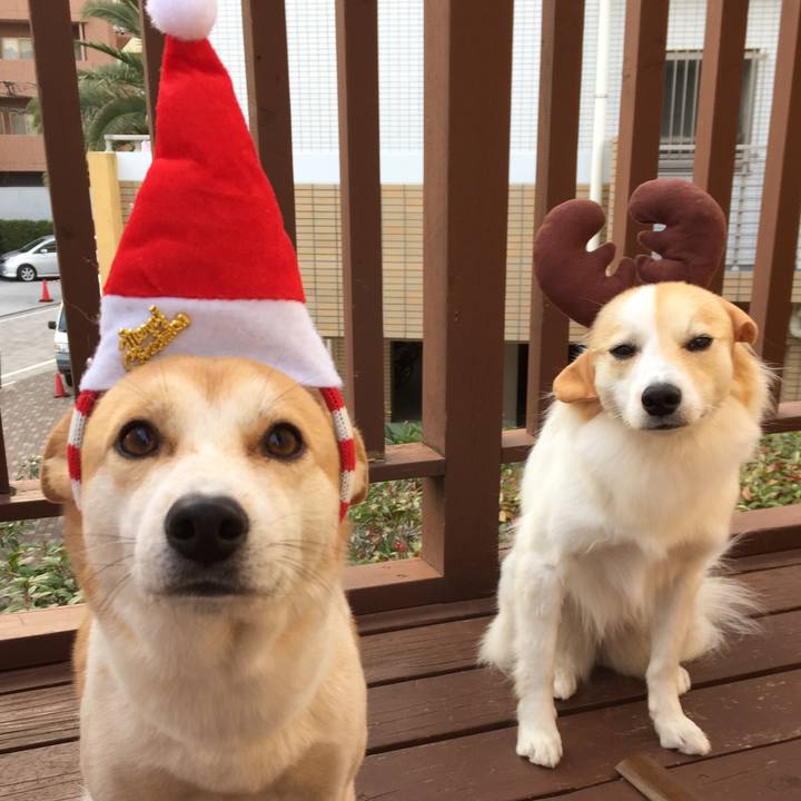 3631449a 3006 491b 9238 36a3c36893d2 1514022446115