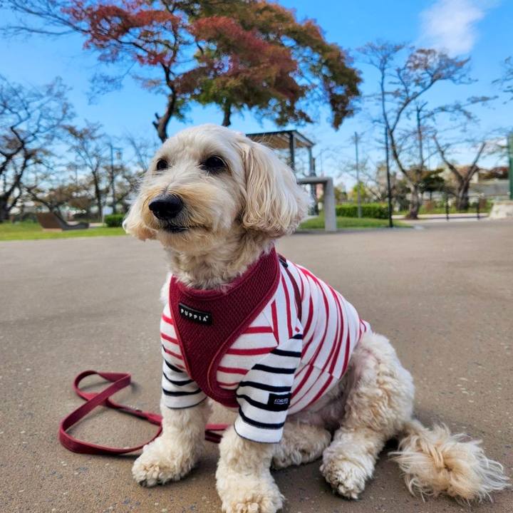 363159e7 32b4 41db 9ac2 adb94c0b135b 1762828883978