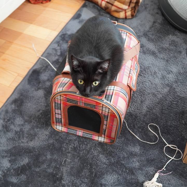 36318db4 ceb3 4fee 90ea 3147e49d43a9 1604108436443