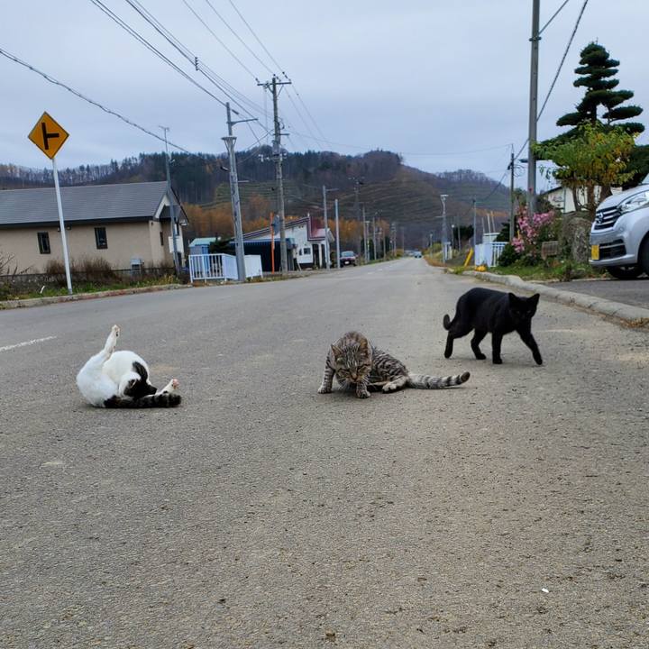 36319aa6 45db 48a1 a16c 16e934f752a9 1699893863214