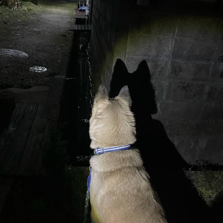 3631d29a 4375 44f4 aa7b 587f0bee88ac 1648732671943