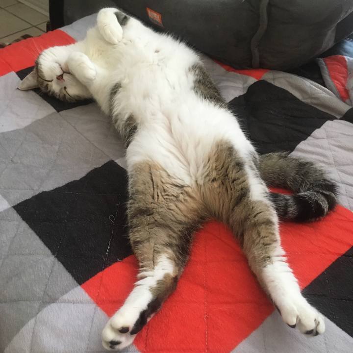 3631f581 a289 43f0 8fe2 7e07d24bc651 1634254634855