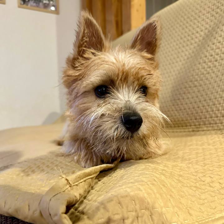 3632327c d039 4b0b 9090 d0b37db6ddda 1727940623495