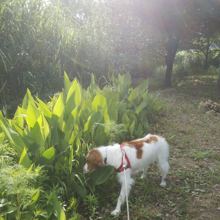 36325b14 e59c 4b0b 931e 3c719ad98e6a 1528682594683