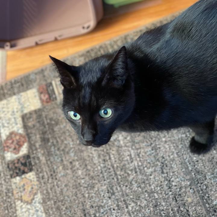 36328673 747e 4ca7 97b7 cf3a00470efb 1636072455096