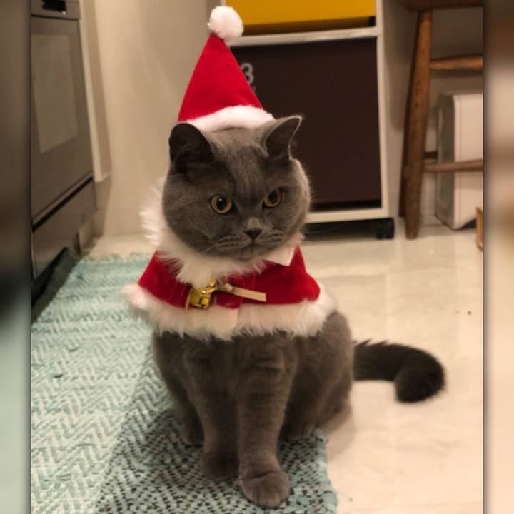 36330cb2 b04e 41e2 a483 32d899429a3d 1545726735677