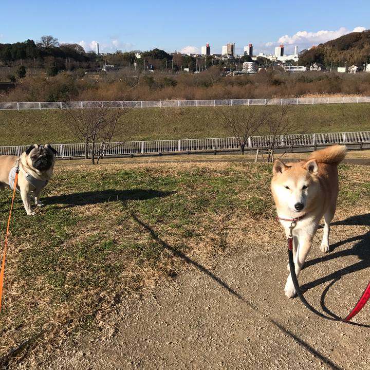 36331383 8d12 47e5 a494 428dc0a22850 1512792087091