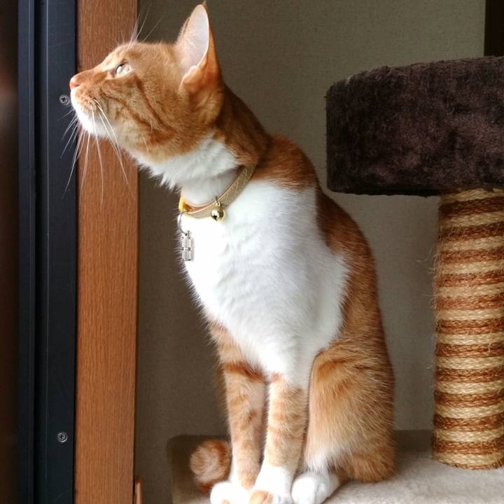 363316a6 0232 47bf 9efa 7d36133045a1 1573021979602