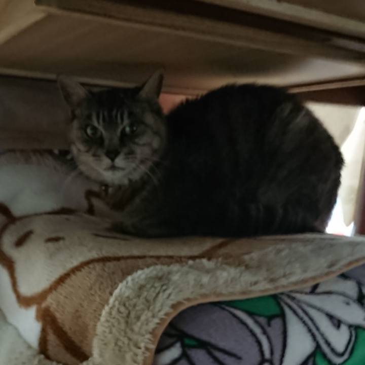 363323e3 6efa 41bf be71 798ab64c0a69 1572040662556