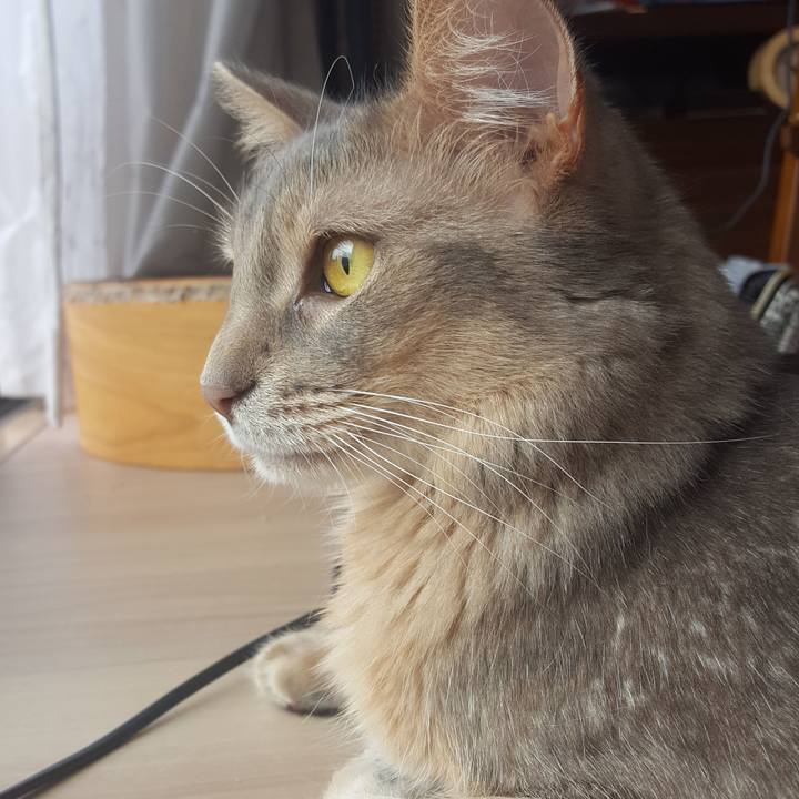 3633311b bdc4 4b4b 81fb 8fb16aad1079 1590455814008