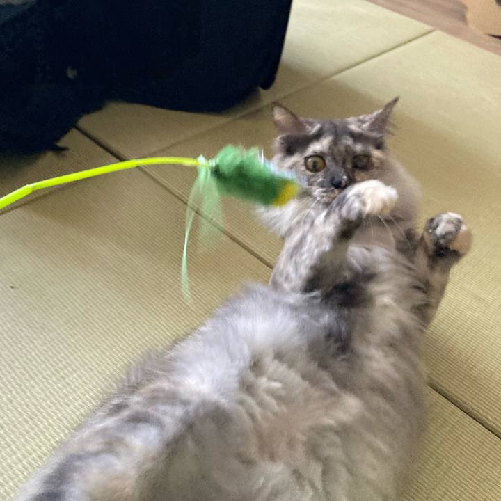 36333ce8 f8bc 4cde a6b3 249f3bb72213 1710983844720