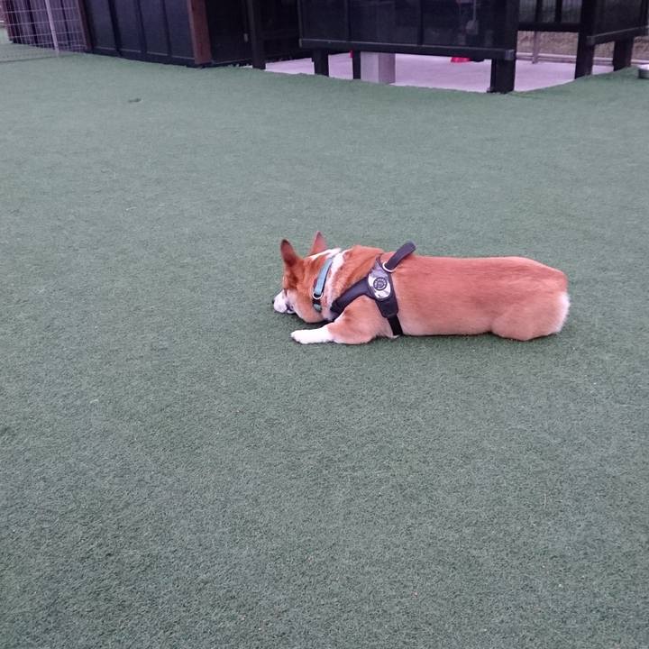 363340cb 428f 43a2 a3e4 613f84f34cc0 1623806217867