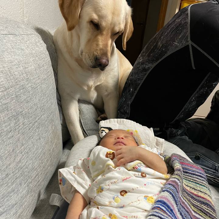 36334c1c 44d3 4b92 a9aa 24082db3dc30 1712231087606